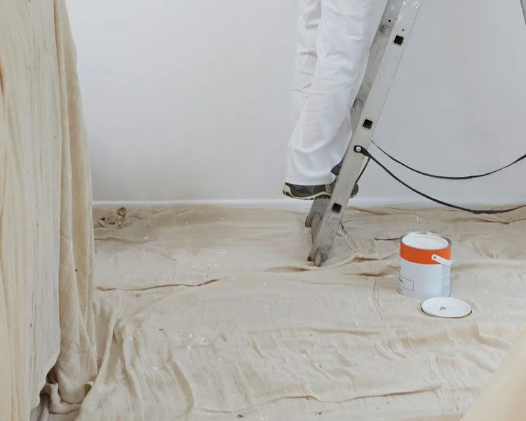 How to Choose the Best Drop Cloth for Painting - Trimaco