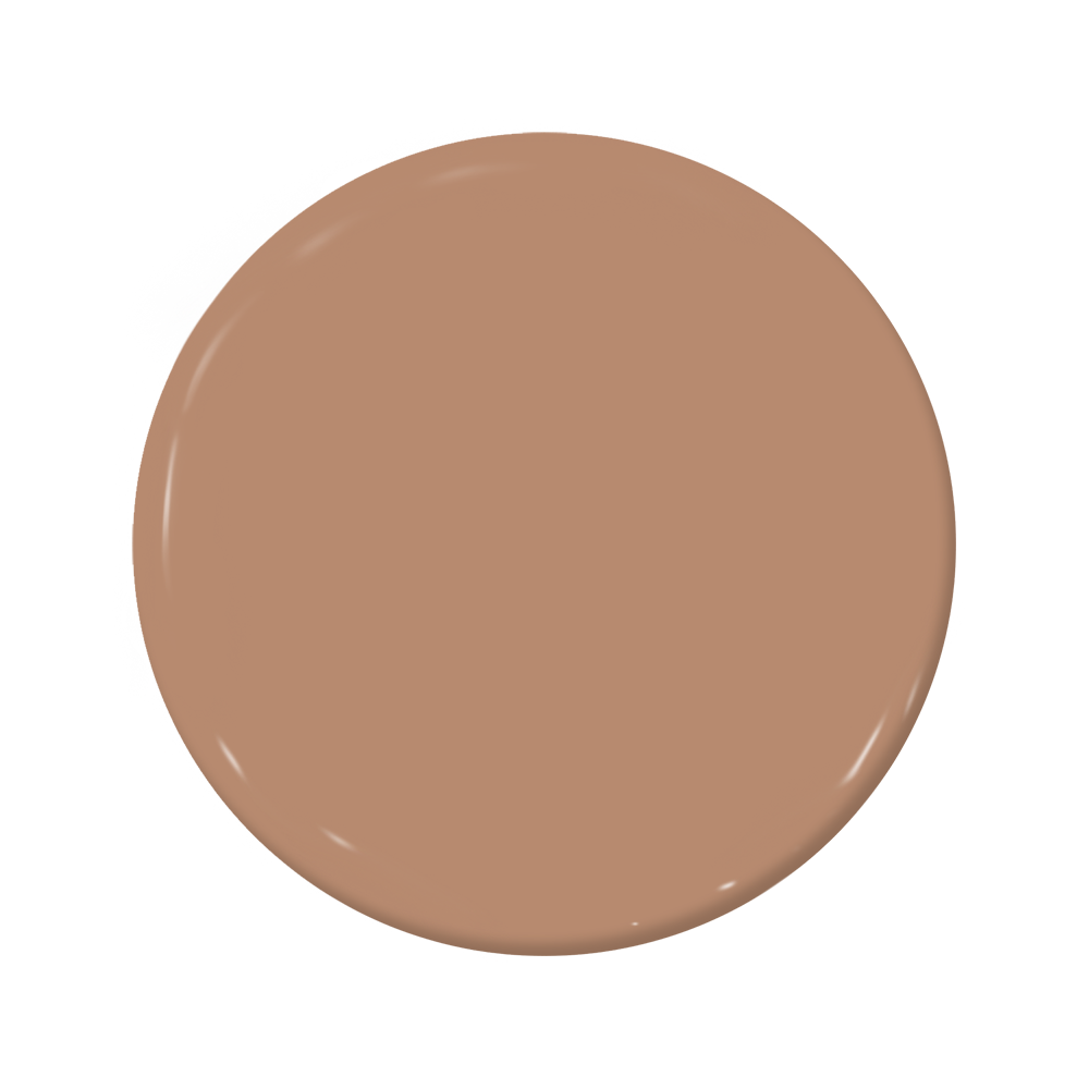 Rodeo - C2-542-C2 Paint