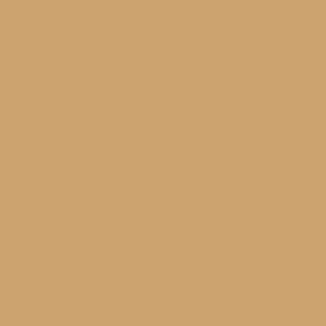 ARCHIVE COLLECTION: CANE No.53