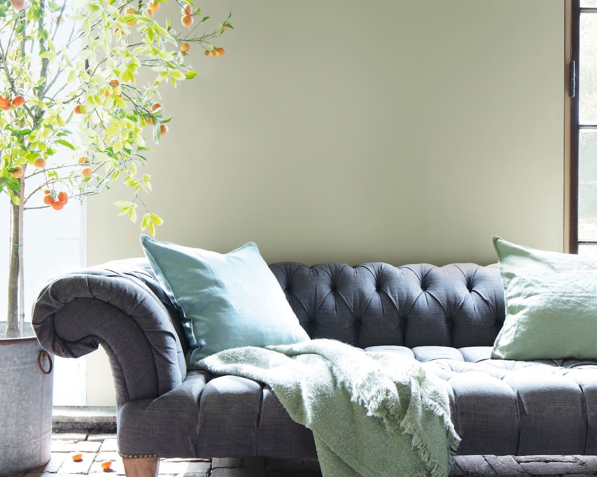 A living room with classic gray couch, green accent pillows, indoor tree, and sage green-painted walls with wood trim.