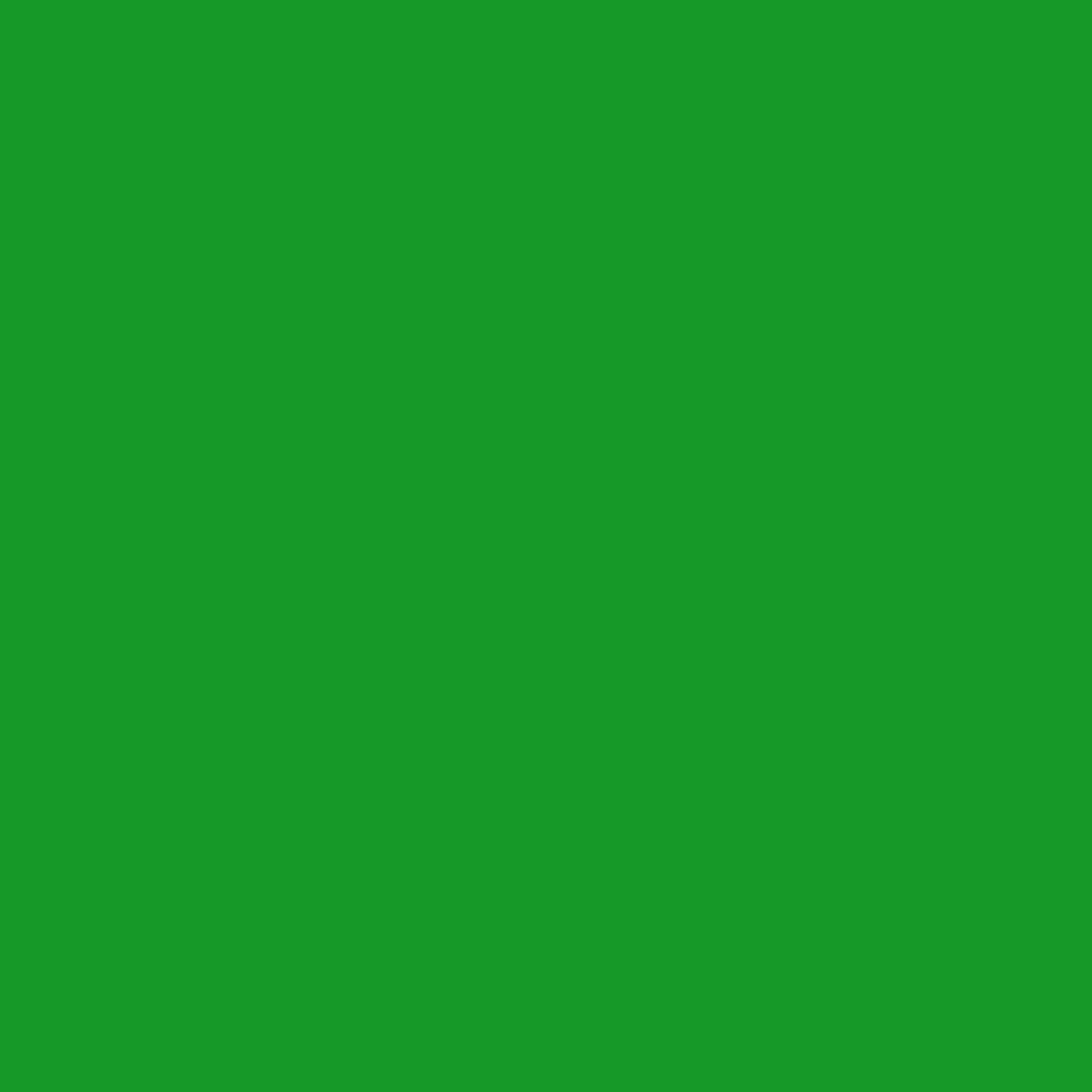 Neon Green 2032-10