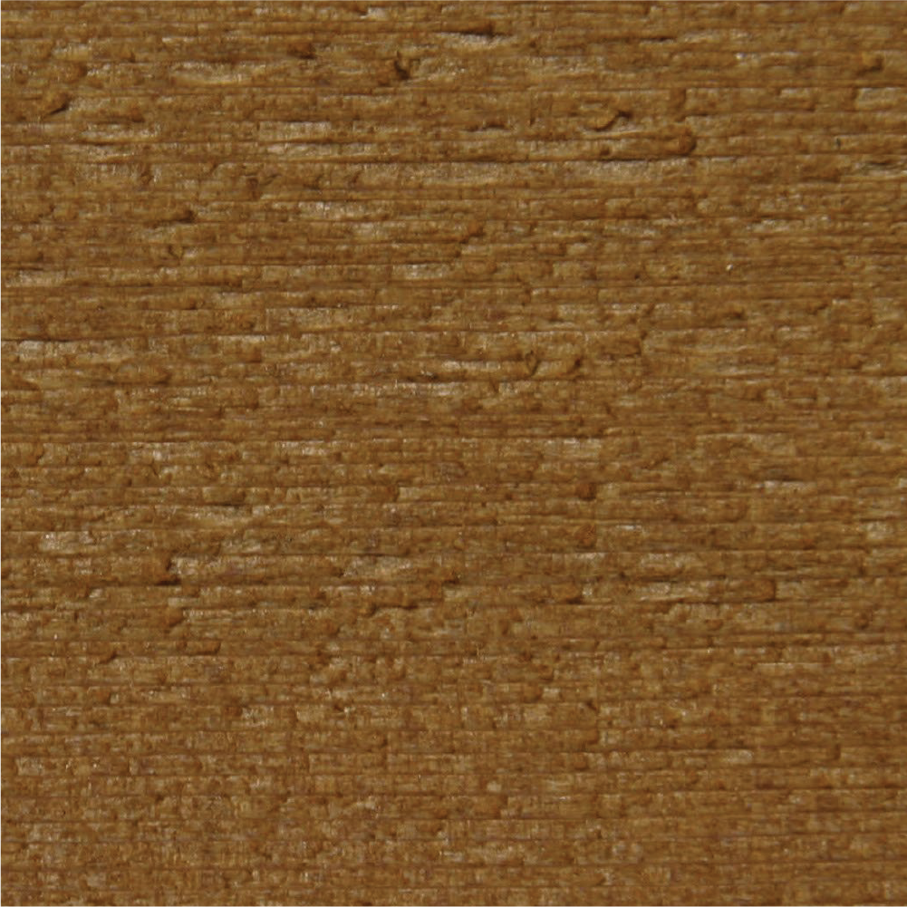 Sugar Maple - T002-C2 Paint