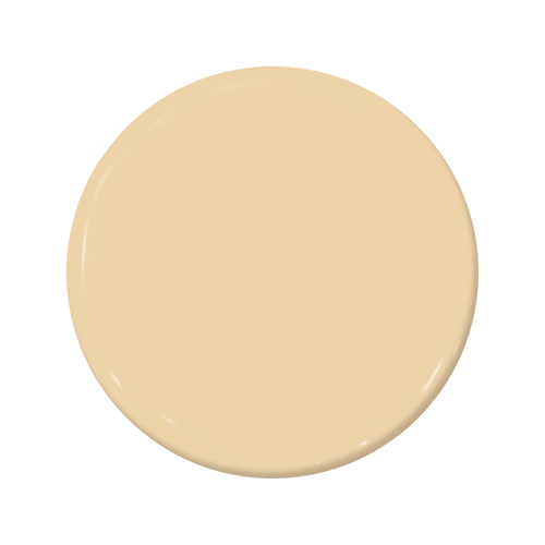 Labrador - C2-561
