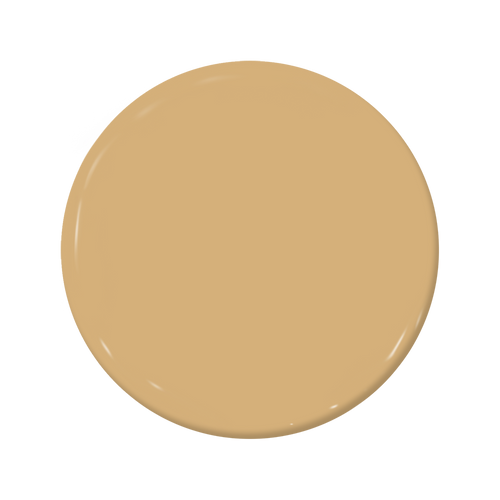 Palomino - C2-575