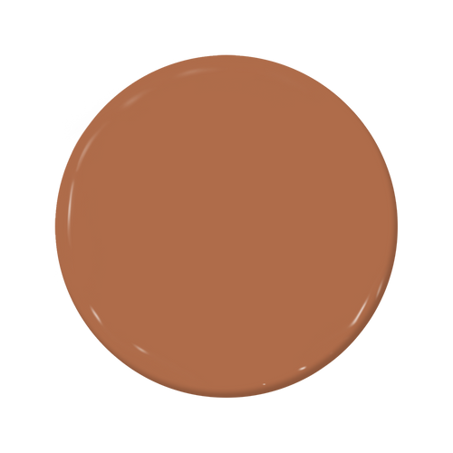 Tortoise - C2-616