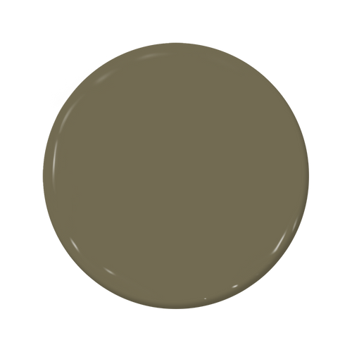 Turtleback - C2-645