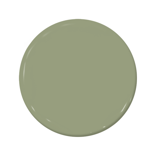 Saguaro - C2-665