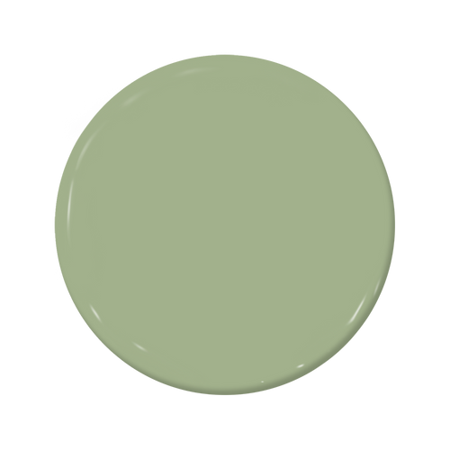 Wasabi - C2-666