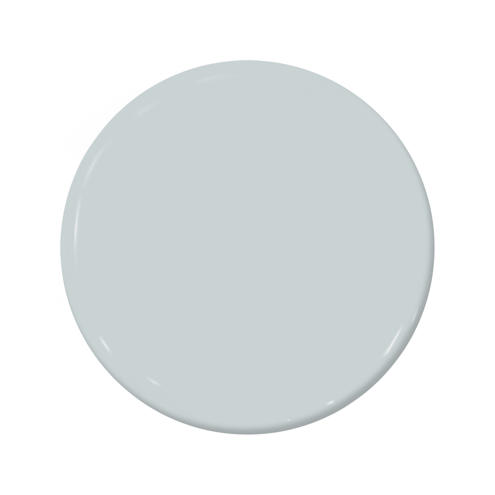 Overcast - C2-738-C2 Paint