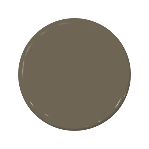 Mudskipper - C2-886