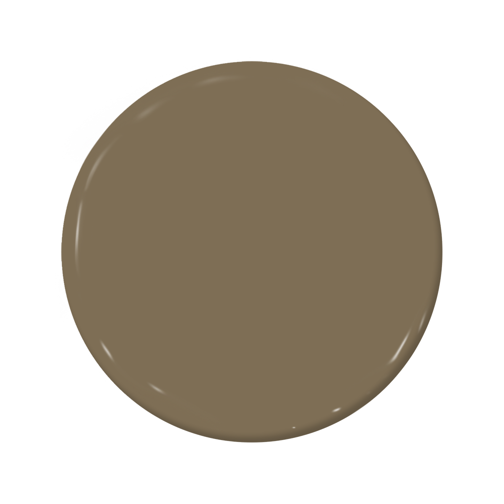 Earth - C2-887-C2 Paint