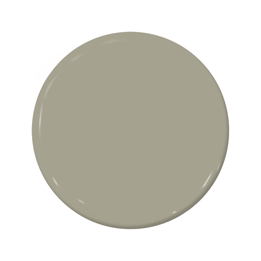 Quahog - C2-908-C2 Paint